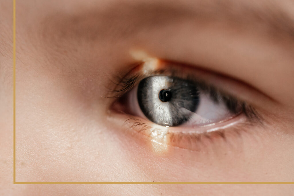 A child looks intently at a light during an exam. Eyes on Harvest Hills is committed to helping you see clearly all year round.
